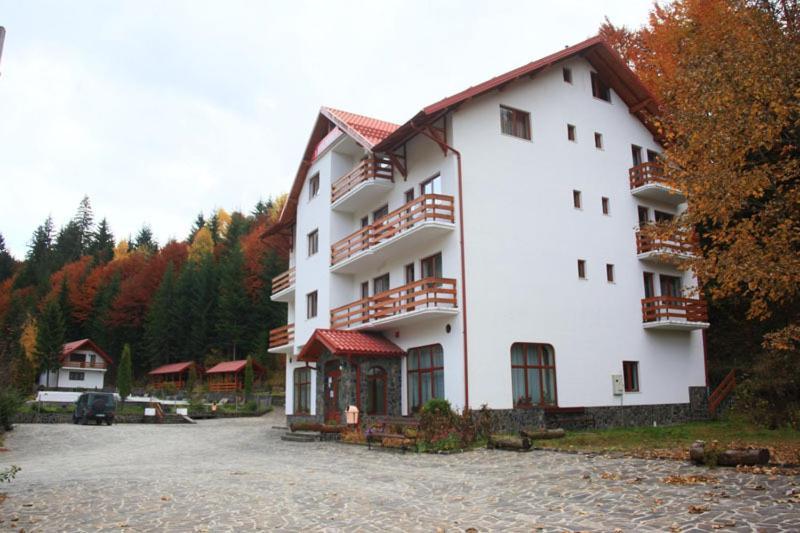 Hotel Paltinis Borsa Kültér fotó