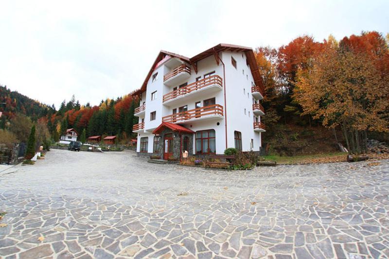 Hotel Paltinis Borsa Kültér fotó