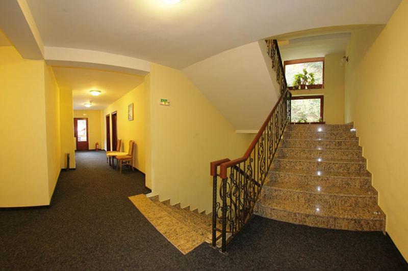 Hotel Paltinis Borsa Kültér fotó